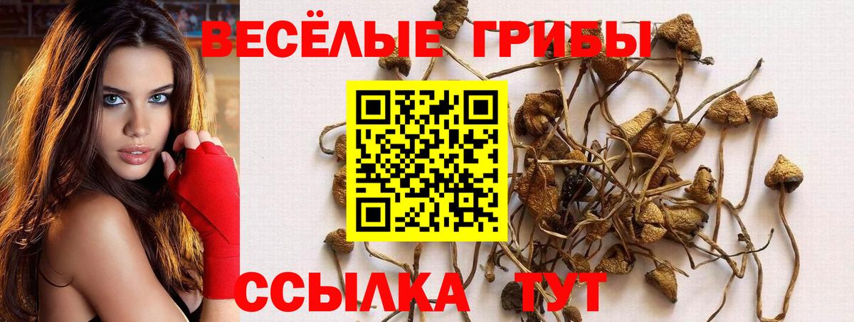 Боровичи  Галлюциногенные грибы GOLDEN TEACHER  Вход с VPN 